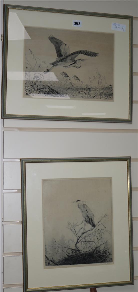 Winifred Marie L Austen Studies of herons 24 x 31cm
